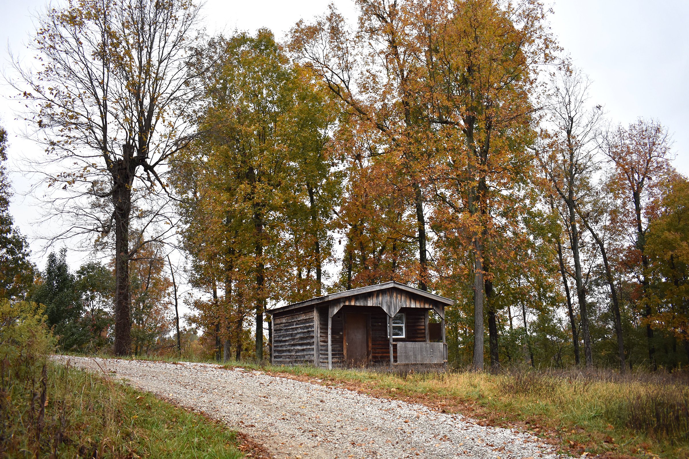 Property photo 50 - LAND AUCTION - 1,682+/- ACRES OFFERED IN 17 TRACTS IN LEWIS & GREENUP COUNTIES, KENTUCKY